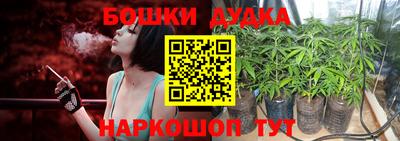 МДПВ Мариинск