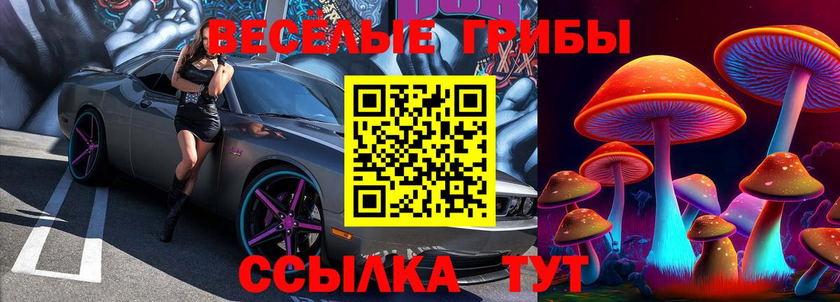 Еманжелинск  Псилоцибиновые грибы прущие грибы  Галлюциногенные грибы мухоморы  Вход с VPN 